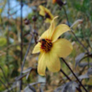 Meet your Posher, Tate